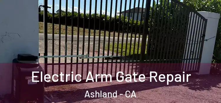 Electric Arm Gate Repair Ashland - CA